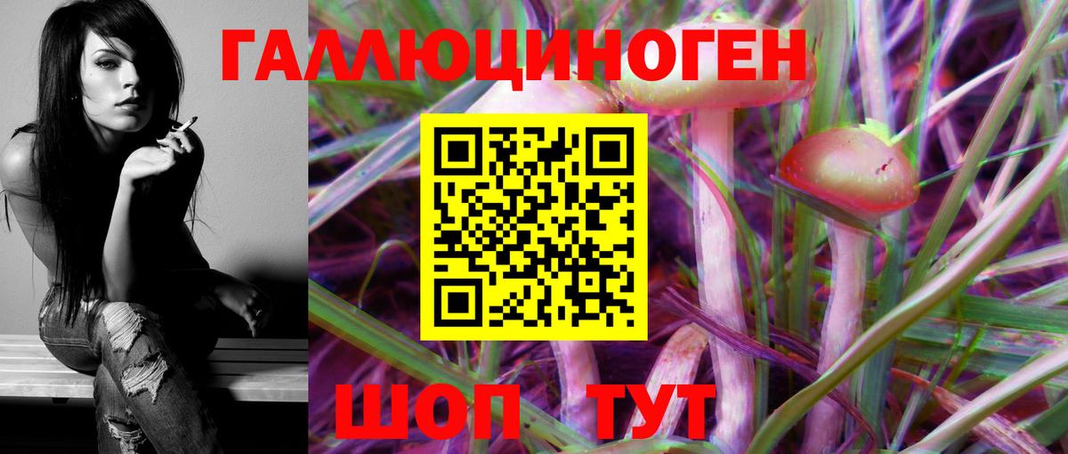 Галлюциногенные грибы GOLDEN TEACHER Муром
